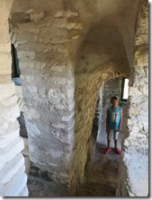 Cat I. Hermitage (25)
