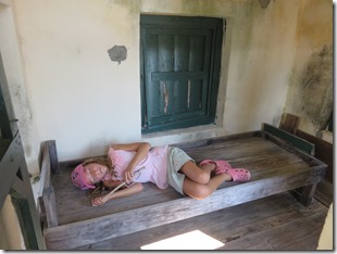 Cat I. Hermitage (27)
