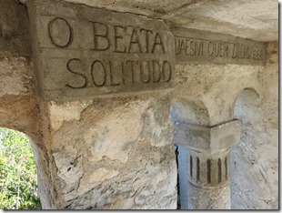 Cat I. Hermitage (33)