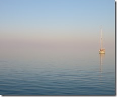 Cat I. New Bight (11)