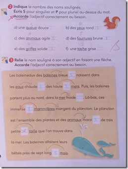 Ecole 15 janvier-mars (22)