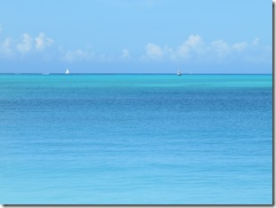 Long I. Calabash (9)