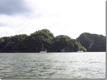 Los Haitises (10)
