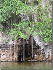 Los Haitises (11)