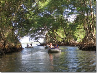 Los Haitises (30)