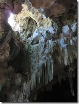Los Haitises (48)