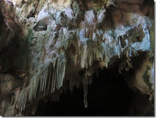Los Haitises (50)