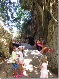 Los Haitises (64)