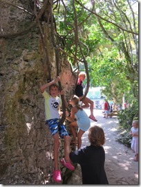 Los Haitises (72)