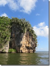 Los Haitises (73)