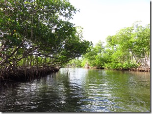 Los Haitises (75)