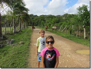 Los Haitises (90)