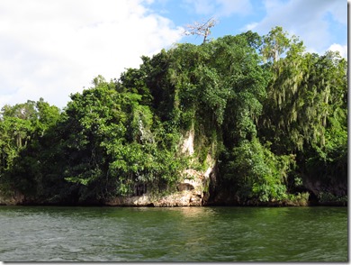 Los Haitises (9)