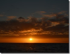 Nav Bahamas (2)