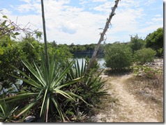 Eleuthera Rock Sound (22)