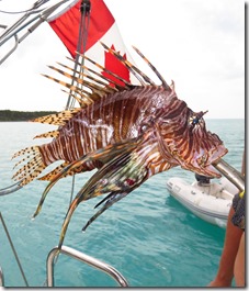Eleuthera Rock Sound (38)