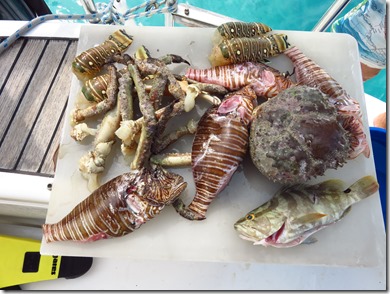 Eleuthera Rock Sound (39)