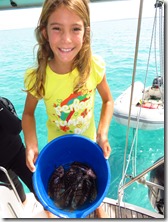 Eleuthera Rock Sound (3)