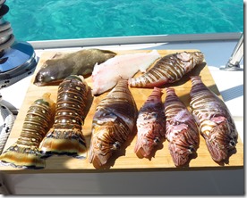 Eleuthera Rock Sound (7)