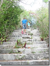 Eleuthera Royal Island (44)