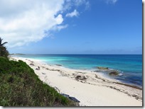 Great Guana Cay (17)