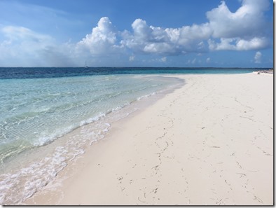 Green Turtle Cay (3)