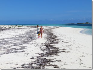 Green Turtle Cay (4)