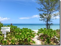 Green Turtle Cay (60)