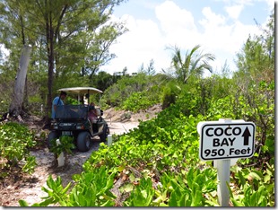 Green Turtle Cay (62)
