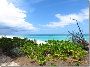 Green Turtle Cay (65)