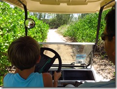 Green Turtle Cay (68)