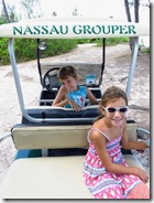 Green Turtle Cay (72)
