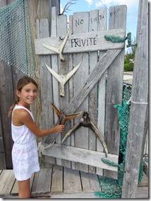 Little Harbour (9)