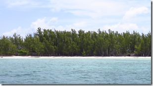 Manjack Cay (16)
