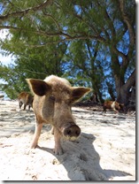 No Name Cay (10)