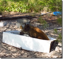 No Name Cay (15)