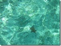 Tahiti Beach (24)