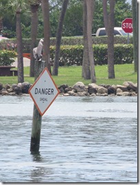 Vero Beach (12)