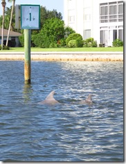Vero Beach (40)