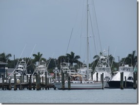 Vero Beach (6)