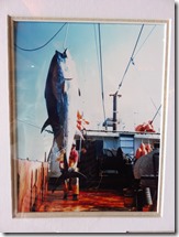 Cape May (37)