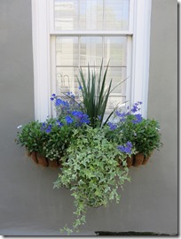 Charleston (17)