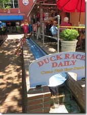 Charleston (38)