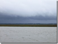 Dewees Creek (11)