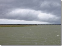 Dewees Creek (13)