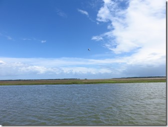 Dewees Creek (7)
