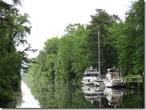 Dismal Swamp (16)
