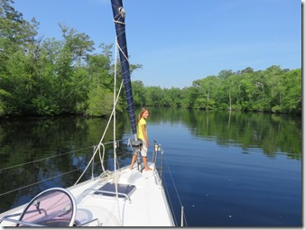Dismal Swamp (1)
