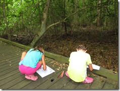 Dismal Swamp (20)