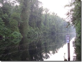 Dismal Swamp (23)